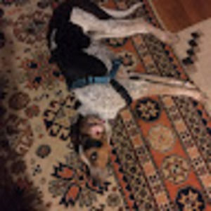 Meet your Posher, Christopher